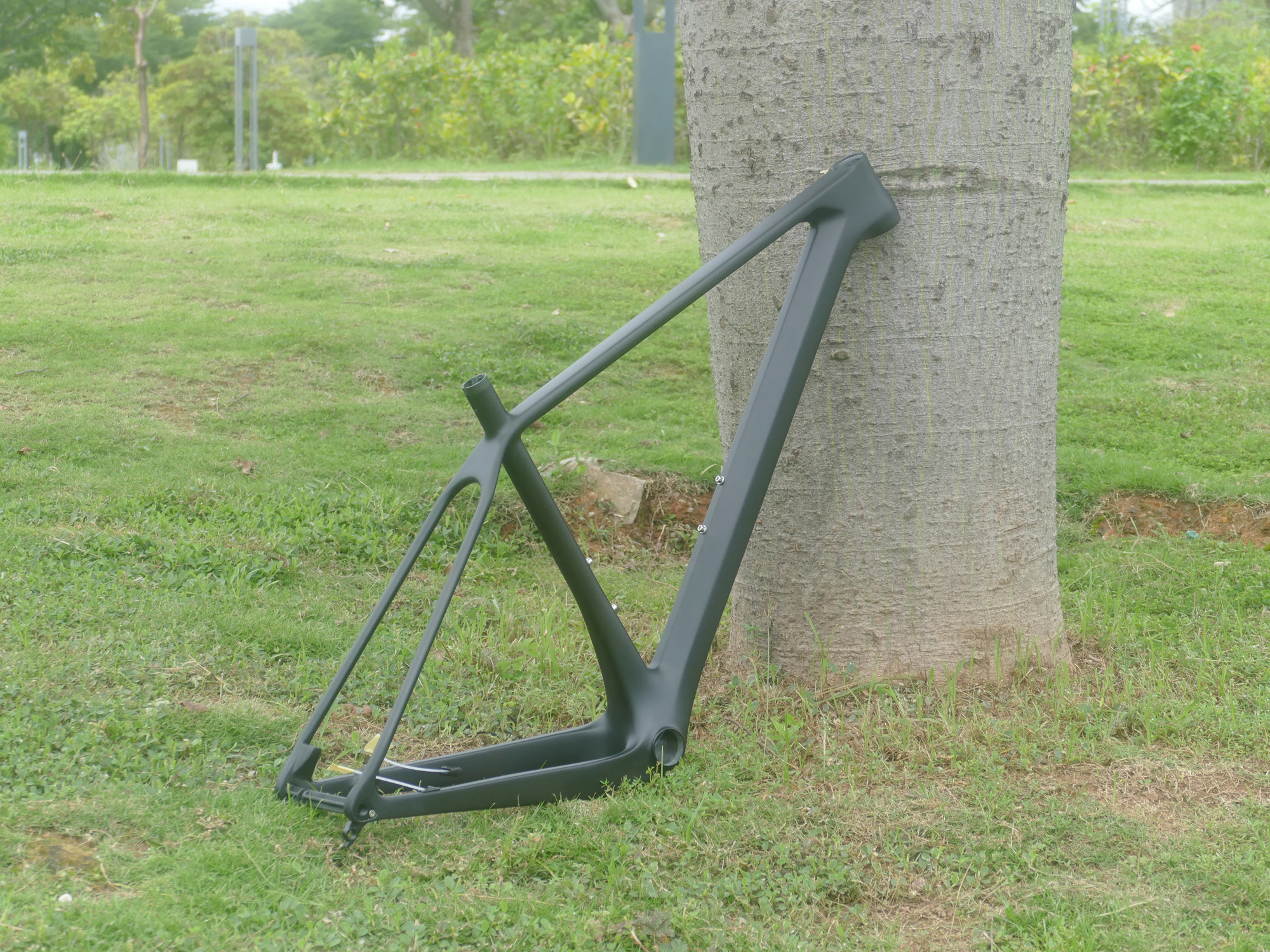 A2   Brand New Full Carbon 29E - Mountain Biking Brands ulasan dan harga